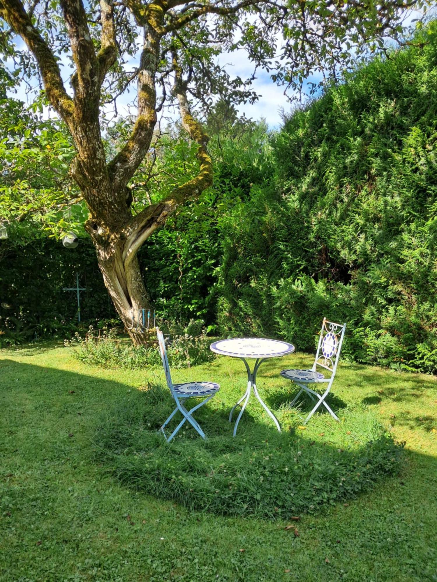 Le Buisson De La Gariole Bed and Breakfast Aubigny-sur-Nère Exteriör bild